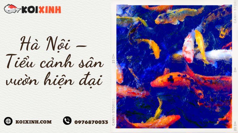 Hà Nội – Tiểu Cảnh Sân Vườn Hiện đại Hà Nội – Tiểu Cảnh Sân Vườn Hiện đại