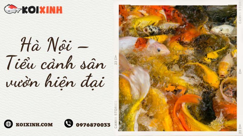 Hà Nội – Tiểu Cảnh Sân Vườn Hiện đại Hà Nội – Tiểu Cảnh Sân Vườn Hiện đại