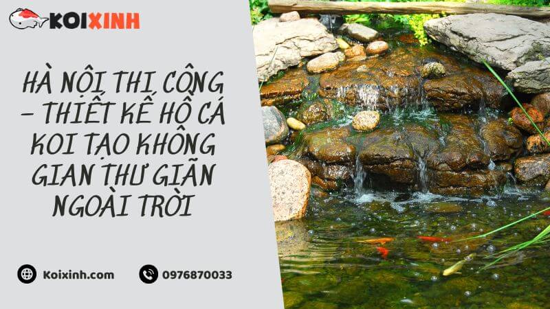 Hà Nội Thi Công – Thiết Kế Hồ Cá Koi Tạo Không Gian Thư Giãn Ngoài Trời Hà Nội Thi Công – Thiết Kế Hồ Cá Koi Tạo Không Gian Thư Giãn Ngoài Trời
