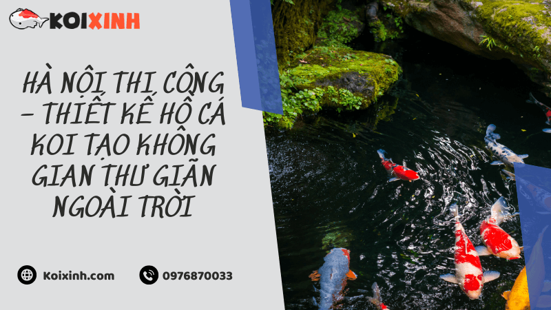 Hà Nội Thi Công – Thiết Kế Hồ Cá Koi Tạo Không Gian Thư Giãn Ngoài Trời Hà Nội Thi Công – Thiết Kế Hồ Cá Koi Tạo Không Gian Thư Giãn Ngoài Trời