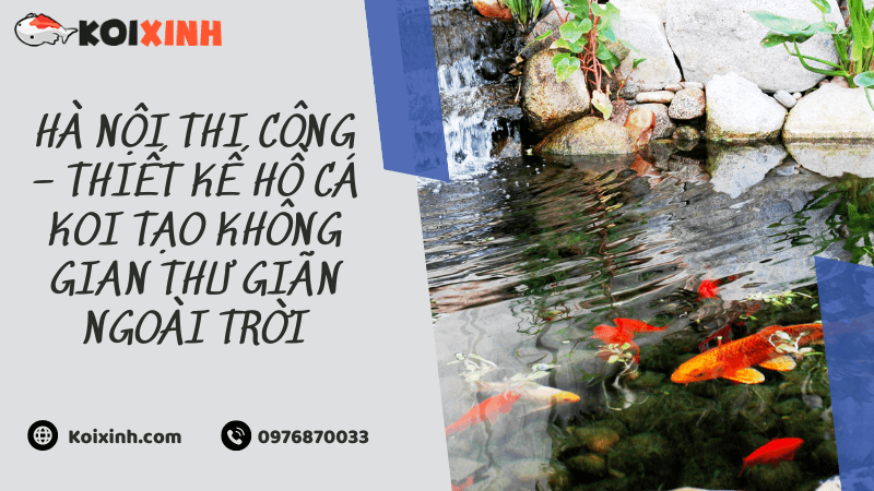 Hà Nội Thi Công – Thiết Kế Hồ Cá Koi Tạo Không Gian Thư Giãn Ngoài Trời Hà Nội Thi Công – Thiết Kế Hồ Cá Koi Tạo Không Gian Thư Giãn Ngoài Trời