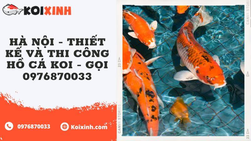 Hà Nội – Thiết Kế Và Thi Công Hồ Cá Koi – Gọi 0976870033 Hà Nội – Thiết Kế Và Thi Công Hồ Cá Koi – Gọi 0976870033