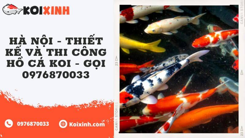 Hà Nội – Thiết Kế Và Thi Công Hồ Cá Koi – Gọi 0976870033 Hà Nội – Thiết Kế Và Thi Công Hồ Cá Koi – Gọi 0976870033