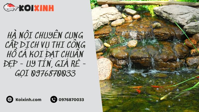 Hà Nội Chuyên Cung Cấp Dịch Vụ Thi Công Hồ Cá Koi đạt Chuẩn đẹp – Uy Tín, Giá Rẻ – Gọi 0976870033 Hà Nội Chuyên Cung Cấp Dịch Vụ Thi Công Hồ Cá Koi đạt Chuẩn đẹp – Uy Tín, Giá Rẻ – Gọi 0976870033