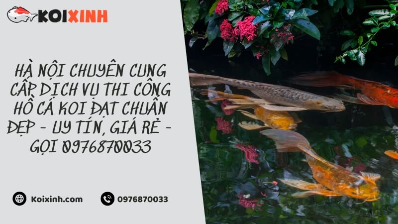 Hà Nội Chuyên Cung Cấp Dịch Vụ Thi Công Hồ Cá Koi đạt Chuẩn đẹp – Uy Tín, Giá Rẻ – Gọi 0976870033 Hà Nội Chuyên Cung Cấp Dịch Vụ Thi Công Hồ Cá Koi đạt Chuẩn đẹp – Uy Tín, Giá Rẻ – Gọi 0976870033