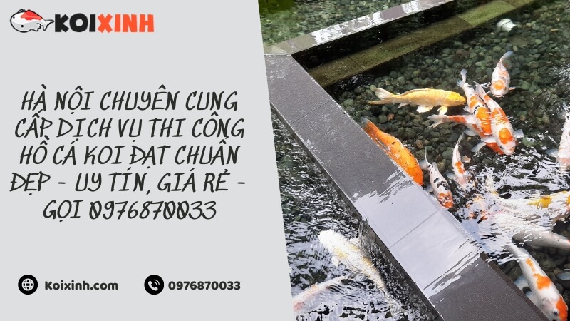 Hà Nội Chuyên Cung Cấp Dịch Vụ Thi Công Hồ Cá Koi đạt Chuẩn đẹp – Uy Tín, Giá Rẻ – Gọi 0976870033 Hà Nội Chuyên Cung Cấp Dịch Vụ Thi Công Hồ Cá Koi đạt Chuẩn đẹp – Uy Tín, Giá Rẻ – Gọi 0976870033