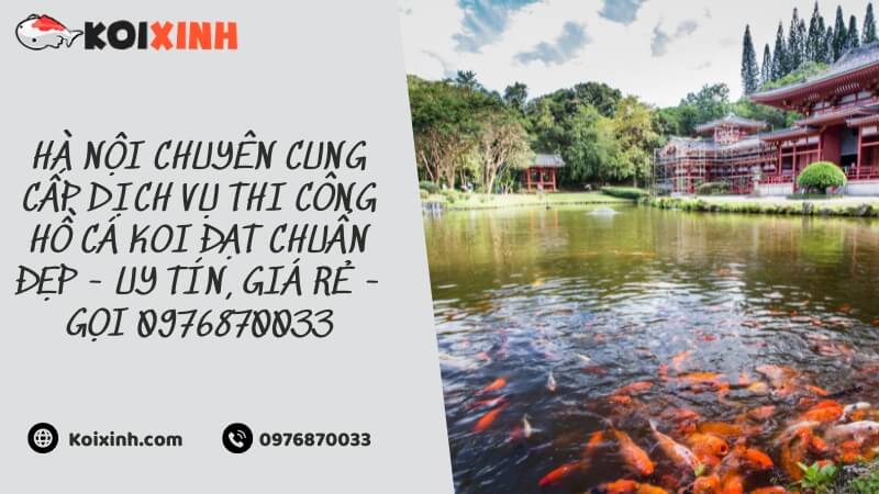Hà Nội Chuyên Cung Cấp Dịch Vụ Thi Công Hồ Cá Koi đạt Chuẩn đẹp – Uy Tín, Giá Rẻ – Gọi 0976870033 Hà Nội Chuyên Cung Cấp Dịch Vụ Thi Công Hồ Cá Koi đạt Chuẩn đẹp – Uy Tín, Giá Rẻ – Gọi 0976870033