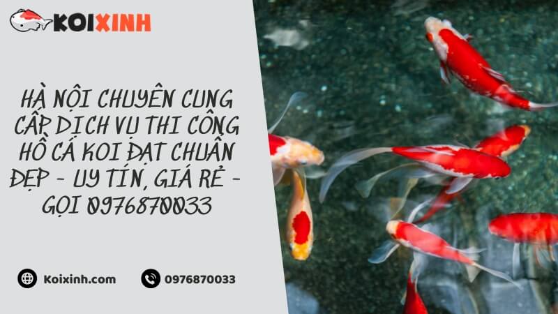 Hà Nội Chuyên Cung Cấp Dịch Vụ Thi Công Hồ Cá Koi đạt Chuẩn đẹp – Uy Tín, Giá Rẻ – Gọi 0976870033 Hà Nội Chuyên Cung Cấp Dịch Vụ Thi Công Hồ Cá Koi đạt Chuẩn đẹp – Uy Tín, Giá Rẻ – Gọi 0976870033
