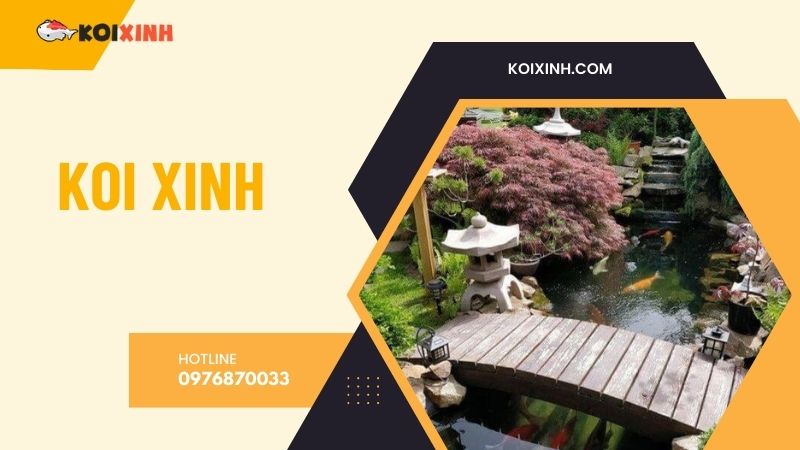 Hà Nội Thi Công Hồ Koi Uy Tín, Giá Rẻ, Bảo Hành Dài Hạn – Hotline 0976870033 Hà Nội Thi Công Hồ Koi Uy Tín, Giá Rẻ, Bảo Hành Dài Hạn – Hotline 0976870033