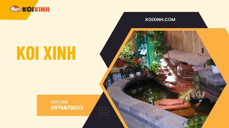 Hà Nội Thi Công Hồ Koi Uy Tín, Giá Rẻ, Bảo Hành Dài Hạn – Hotline 0976870033 Hà Nội Thi Công Hồ Koi Uy Tín, Giá Rẻ, Bảo Hành Dài Hạn – Hotline 0976870033