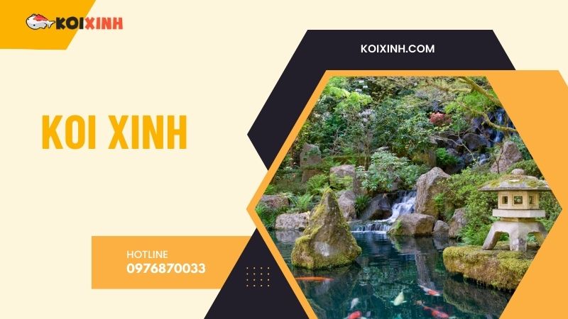 Hà Nội Thi Công Hồ Koi Uy Tín, Giá Rẻ, Bảo Hành Dài Hạn – Hotline 0976870033 Hà Nội Thi Công Hồ Koi Uy Tín, Giá Rẻ, Bảo Hành Dài Hạn – Hotline 0976870033