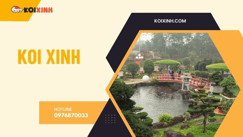 Hà Nội Thi Công Hồ Koi Uy Tín, Giá Rẻ, Bảo Hành Dài Hạn – Hotline 0976870033 Hà Nội Thi Công Hồ Koi Uy Tín, Giá Rẻ, Bảo Hành Dài Hạn – Hotline 0976870033