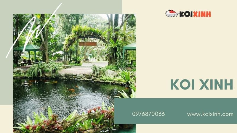 Hà Nội Thiết Kế Hồ Cá Koi – Giá Rẻ, Uy Tín, Bảo Hành Dài Hạn – Gọi 0976870033 Hà Nội Thiết Kế Hồ Cá Koi – Giá Rẻ, Uy Tín, Bảo Hành Dài Hạn – Gọi 0976870033
