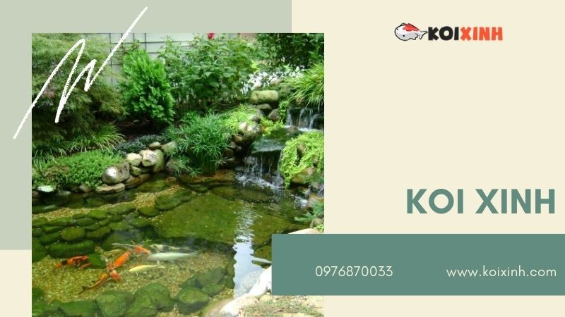 Hà Nội Thiết Kế Hồ Cá Koi – Giá Rẻ, Uy Tín, Bảo Hành Dài Hạn – Gọi 0976870033 Hà Nội Thiết Kế Hồ Cá Koi – Giá Rẻ, Uy Tín, Bảo Hành Dài Hạn – Gọi 0976870033