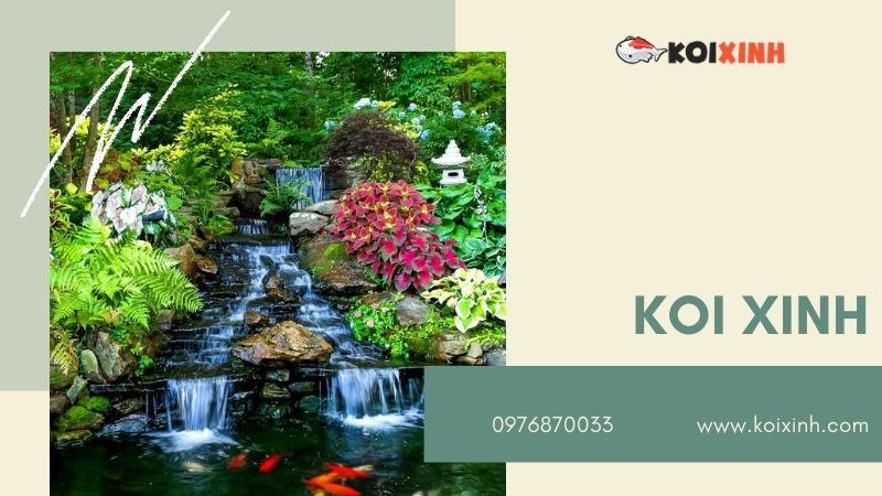 Hà Nội Thiết Kế Hồ Cá Koi – Giá Rẻ, Uy Tín, Bảo Hành Dài Hạn – Gọi 0976870033 Hà Nội Thiết Kế Hồ Cá Koi – Giá Rẻ, Uy Tín, Bảo Hành Dài Hạn – Gọi 0976870033