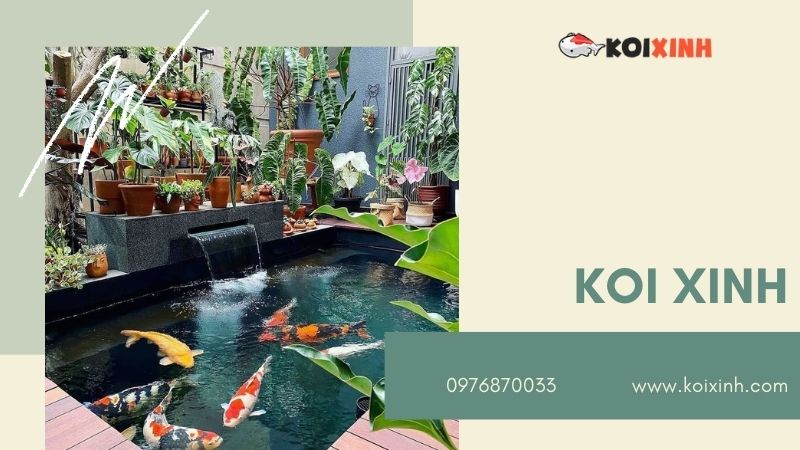 Hà Nội Thiết Kế Hồ Cá Koi – Giá Rẻ, Uy Tín, Bảo Hành Dài Hạn – Gọi 0976870033 Hà Nội Thiết Kế Hồ Cá Koi – Giá Rẻ, Uy Tín, Bảo Hành Dài Hạn – Gọi 0976870033
