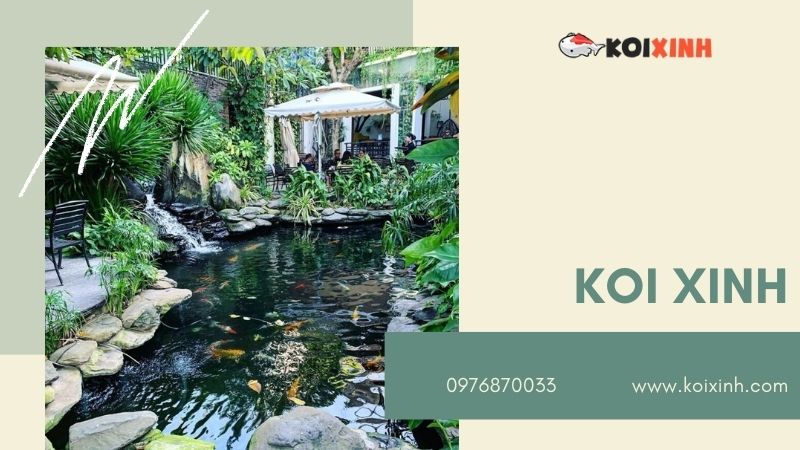 Hà Nội Thiết Kế Hồ Cá Koi – Giá Rẻ, Uy Tín, Bảo Hành Dài Hạn – Gọi 0976870033 Hà Nội Thiết Kế Hồ Cá Koi – Giá Rẻ, Uy Tín, Bảo Hành Dài Hạn – Gọi 0976870033