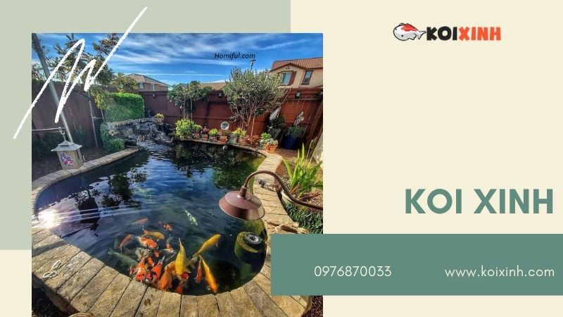 Hà Nội Thiết Kế Hồ Cá Koi – Giá Rẻ, Uy Tín, Bảo Hành Dài Hạn – Gọi 0976870033 Hà Nội Thiết Kế Hồ Cá Koi – Giá Rẻ, Uy Tín, Bảo Hành Dài Hạn – Gọi 0976870033