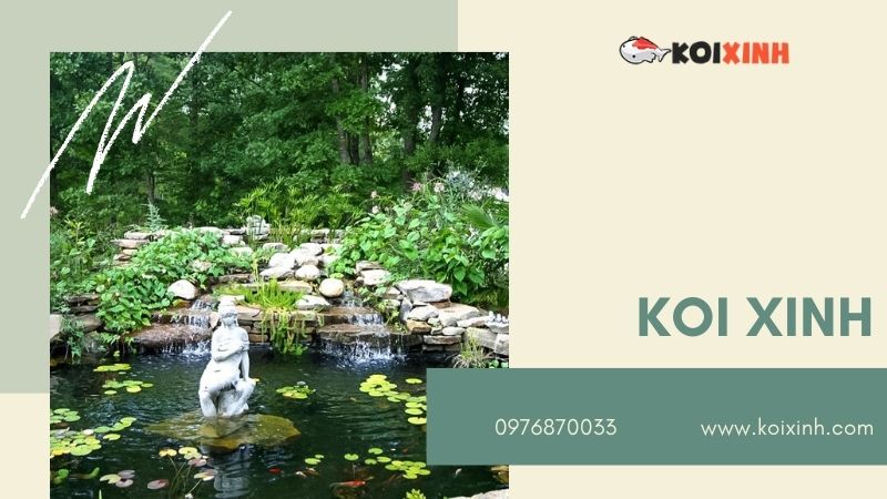 Hà Nội Thiết Kế Hồ Cá Koi – Giá Rẻ, Uy Tín, Bảo Hành Dài Hạn – Gọi 0976870033