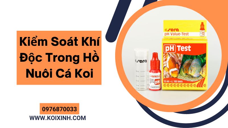 Kiểm Soát Khí Độc Trong Hồ Nuôi Cá Koi Kiểm Soát Khí Độc Trong Hồ Nuôi Cá Koi