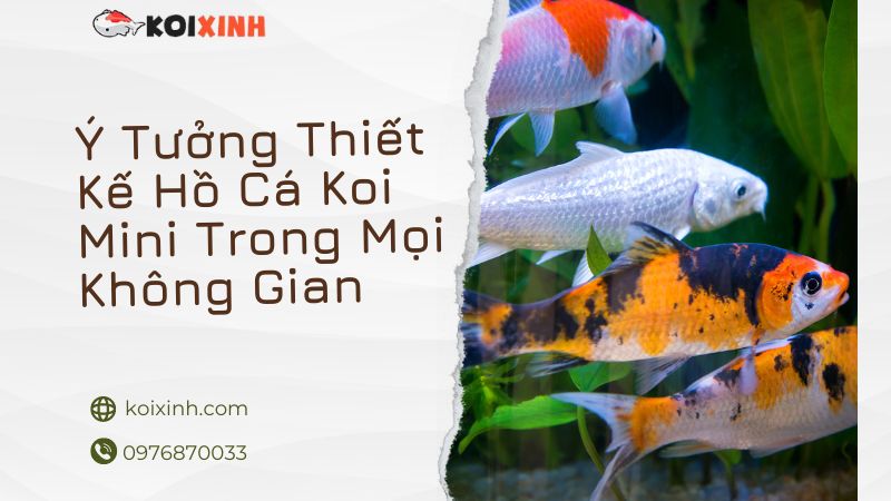 Ý Tưởng Thiết Kế Hồ Cá Koi Mini Trong Mọi Không Gian Nhà Ở