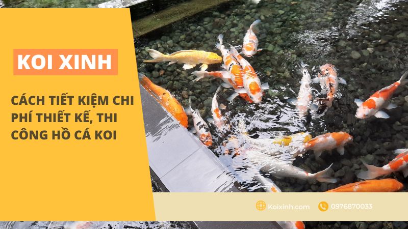 Cách Tiết Kiệm Chi Phí Thiết Kế, Thi Công Hồ Cá Koi Cách Tiết Kiệm Chi Phí Thiết Kế, Thi Công Hồ Cá Koi