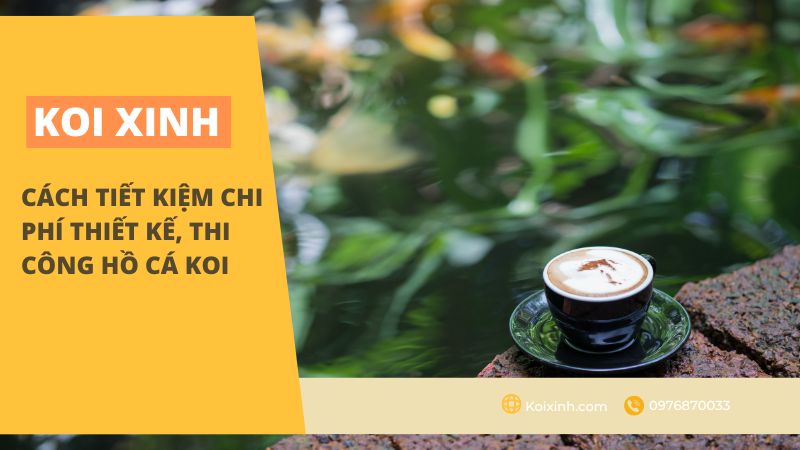Cách Tiết Kiệm Chi Phí Thiết Kế, Thi Công Hồ Cá Koi