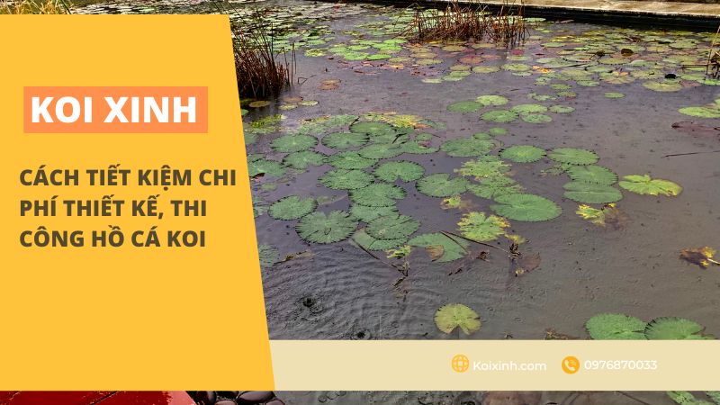 Cách Tiết Kiệm Chi Phí Thiết Kế, Thi Công Hồ Cá Koi Cách Tiết Kiệm Chi Phí Thiết Kế, Thi Công Hồ Cá Koi