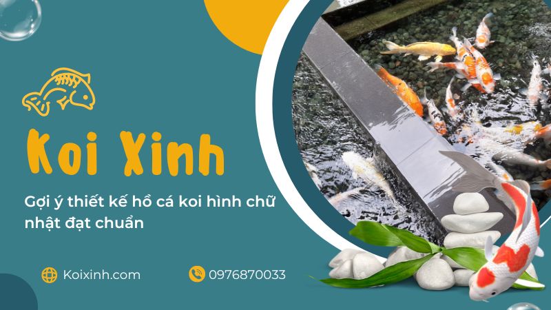 Gợi ý Thiết Kế Hồ Cá Koi Hình Chữ Nhật đạt Chuẩn Gợi ý Thiết Kế Hồ Cá Koi Hình Chữ Nhật đạt Chuẩn