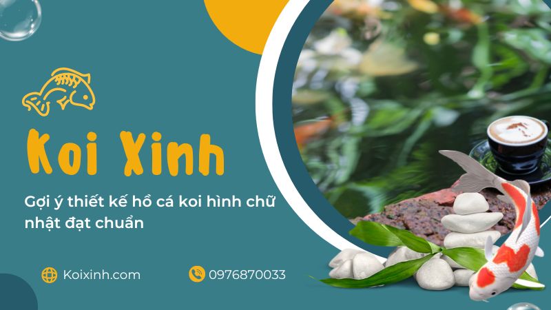 Gợi ý Thiết Kế Hồ Cá Koi Hình Chữ Nhật đạt Chuẩn Gợi ý Thiết Kế Hồ Cá Koi Hình Chữ Nhật đạt Chuẩn