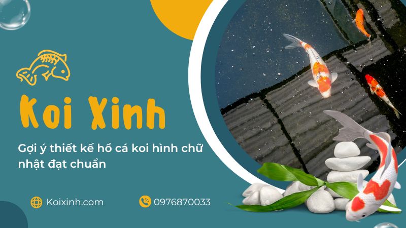Gợi ý Thiết Kế Hồ Cá Koi Hình Chữ Nhật đạt Chuẩn Gợi ý Thiết Kế Hồ Cá Koi Hình Chữ Nhật đạt Chuẩn