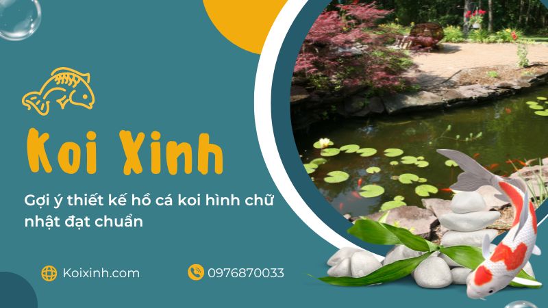 Gợi ý Thiết Kế Hồ Cá Koi Hình Chữ Nhật đạt Chuẩn Gợi ý Thiết Kế Hồ Cá Koi Hình Chữ Nhật đạt Chuẩn