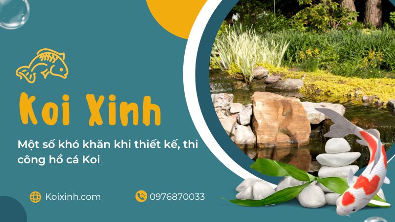Một Số Khó Khăn Khi Thiết Kế, Thi Công Hồ Cá Koi Một Số Khó Khăn Khi Thiết Kế, Thi Công Hồ Cá Koi