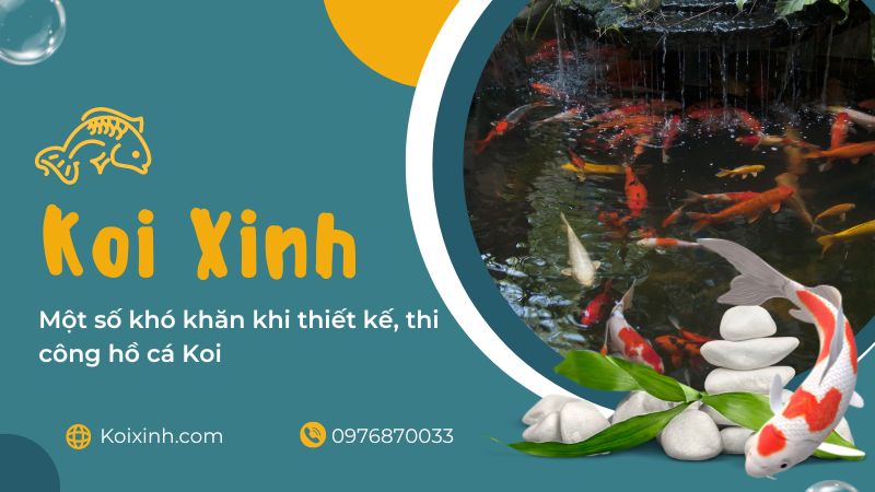 Một Số Khó Khăn Khi Thiết Kế, Thi Công Hồ Cá Koi Một Số Khó Khăn Khi Thiết Kế, Thi Công Hồ Cá Koi