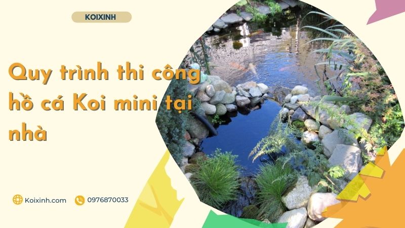 Quy Trình Thi Công Hồ Cá Koi Mini Tại Nhà