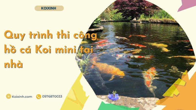 Quy Trình Thi Công Hồ Cá Koi Mini Tại Nhà