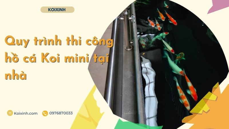 Quy Trình Thi Công Hồ Cá Koi Mini Tại Nhà