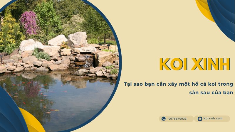 Tại Sao Bạn Cần Xây Một Hồ Cá Koi Trong Sân Sau Của Bạn Tại Sao Bạn Cần Xây Một Hồ Cá Koi Trong Sân Sau Của Bạn
