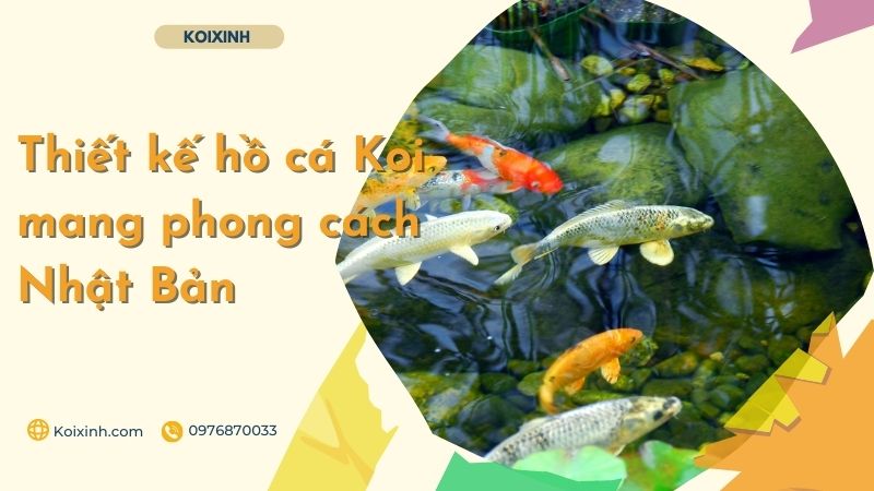 Thiết Kế Hồ Cá Koi Mang Phong Cách Nhật Bản – Bảo Hành Dài Hạn – Gọi 0976870033