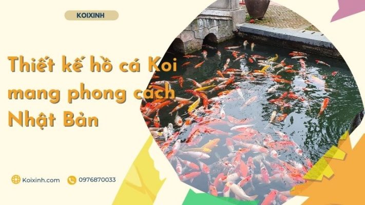 Thiết Kế Hồ Cá Koi Mang Phong Cách Nhật Bản – Bảo Hành Dài Hạn – Gọi 0976870033