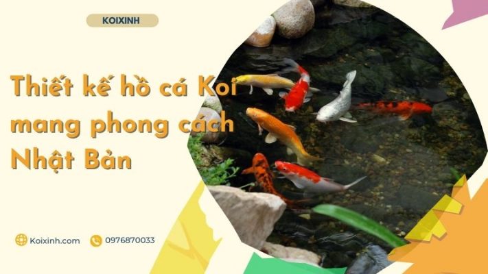Thiết Kế Hồ Cá Koi Mang Phong Cách Nhật Bản – Bảo Hành Dài Hạn – Gọi 0976870033