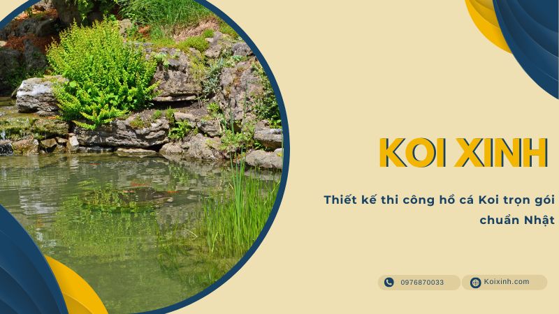 Thiết Kế Thi Công Hồ Cá Koi Trọn Gói Chuẩn Nhật – Gọi 0976870033 Thiết Kế Thi Công Hồ Cá Koi Trọn Gói Chuẩn Nhật – Gọi 0976870033