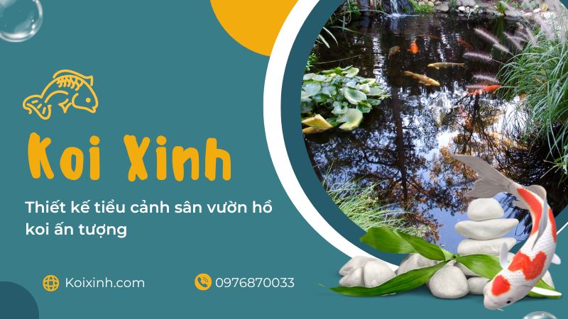 Thiết Kế Tiểu Cảnh Sân Vườn Hồ Koi ấn Tượng Thiết Kế Tiểu Cảnh Sân Vườn Hồ Koi ấn Tượng