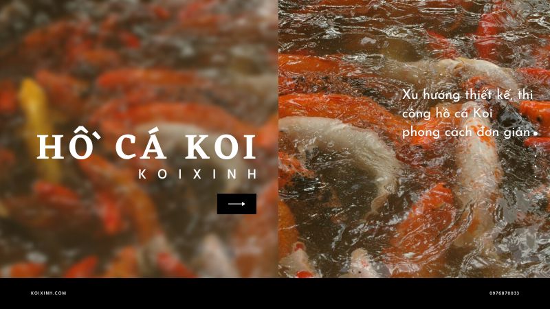 Xu Hướng Thiết Kế, Thi Công Hồ Cá Koi Phong Cách đơn Giản