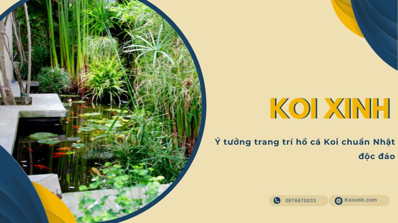 Ý Tưởng Trang Trí Hồ Cá Koi Chuẩn Nhật độc đáo Ý Tưởng Trang Trí Hồ Cá Koi Chuẩn Nhật độc đáo