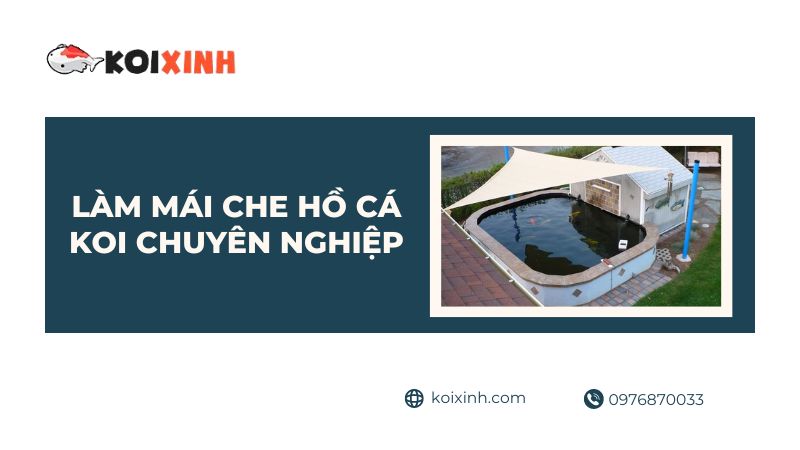 Làm Mái Che Hồ Cá Koi Chuyên Nghiệp Giá Rẻ Thiết Kế Đẹp – Gọi  0976870033