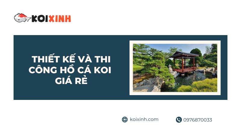 Thiết Kế Và Thi Công Hồ Cá Koi Giá Rẻ Tại Hà Nội, Thái Bình, Lào Cai – Gọi 0976870033