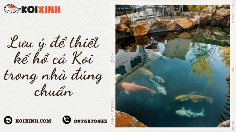 Lưu ý để Thiết Kế Hồ Cá Koi Trong Nhà đúng Chuẩn Lưu ý để Thiết Kế Hồ Cá Koi Trong Nhà đúng Chuẩn