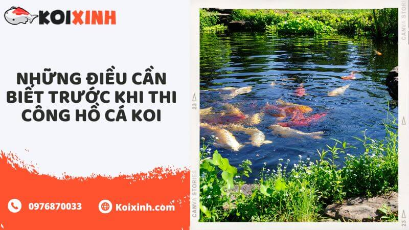 Những điều Cần Biết Trước Khi Thi Công Hồ Cá Koi Những điều Cần Biết Trước Khi Thi Công Hồ Cá Koi