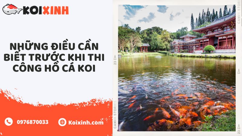 Những điều Cần Biết Trước Khi Thi Công Hồ Cá Koi Những điều Cần Biết Trước Khi Thi Công Hồ Cá Koi
